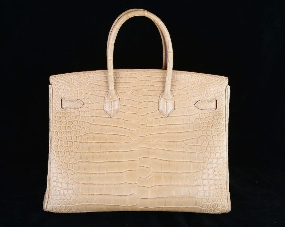 HERMES BIRKIN BAG 35cm POUSSIERE MATTE CROCODILE POROSUS absolutely OMG. As always, another one of my fab finds, The sexiest bag ever… Hermes 35cm Birkin in beautiful MATTE POUSSIERE POROSUS CROCODILE with stunning palladium hardware.

»  This bag