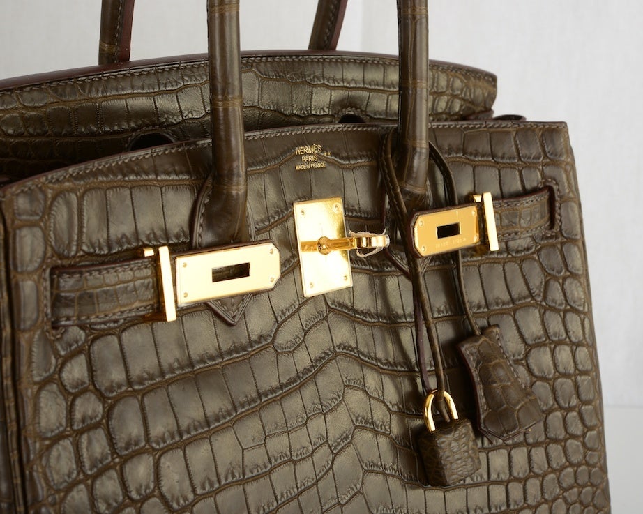 elephant skin birkin