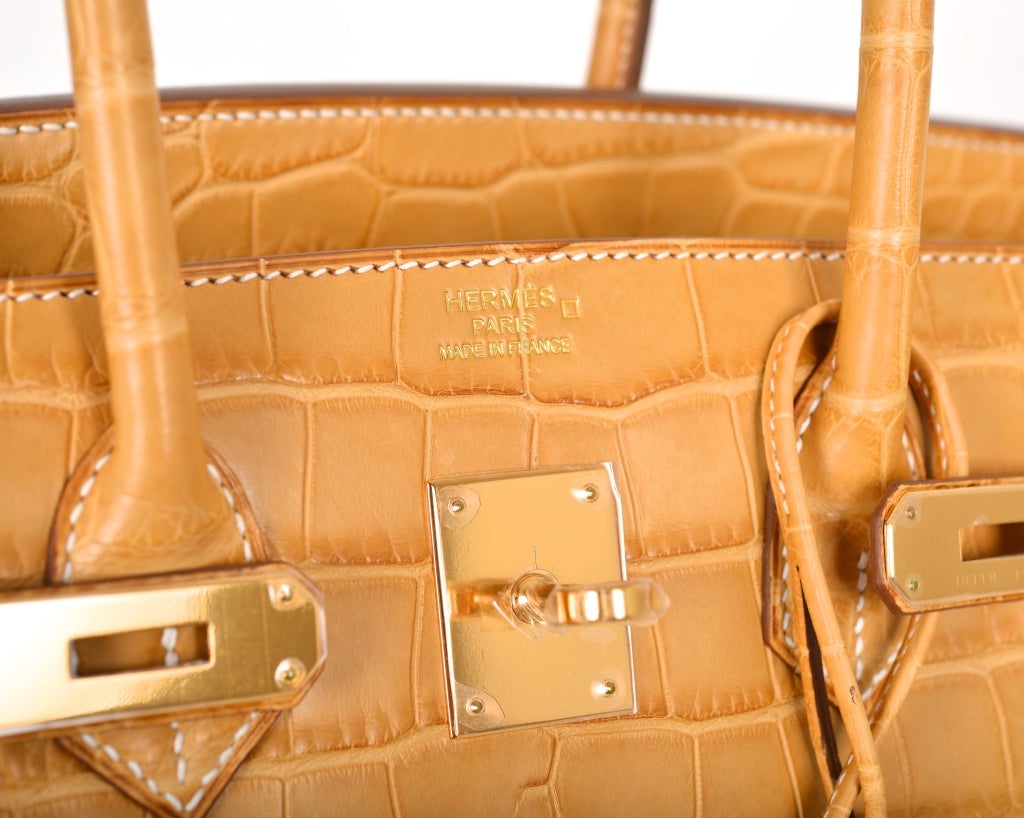 NEW COLOR HERMES BIRKIN BAG 35cm CROCODILE MATTE MAIS W GOLD HW at ...