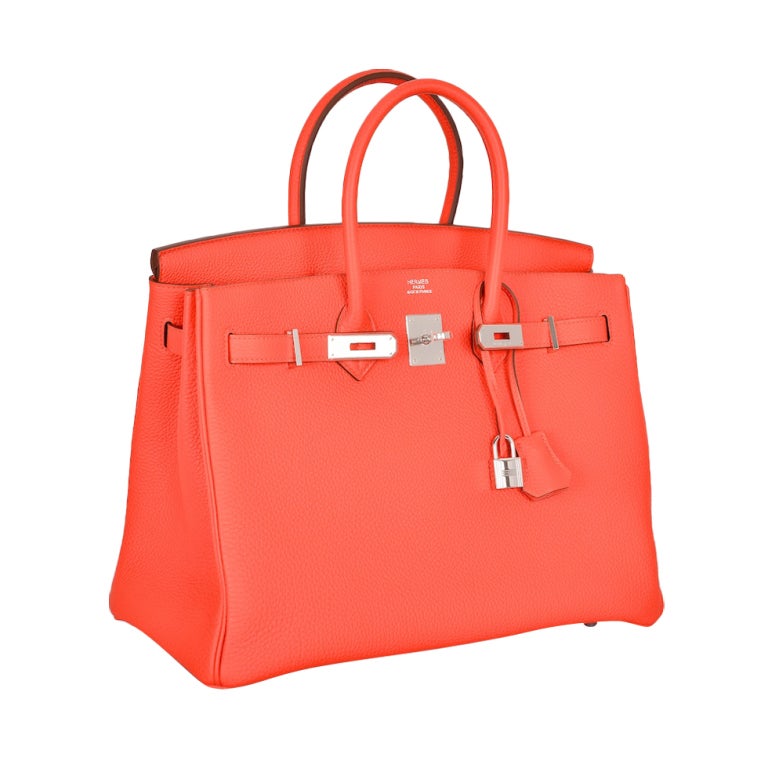 NEW COLOR ! HERMES BIRKIN BAG 35CM CAPUCINE PALLADIUM HARDWAR at ...