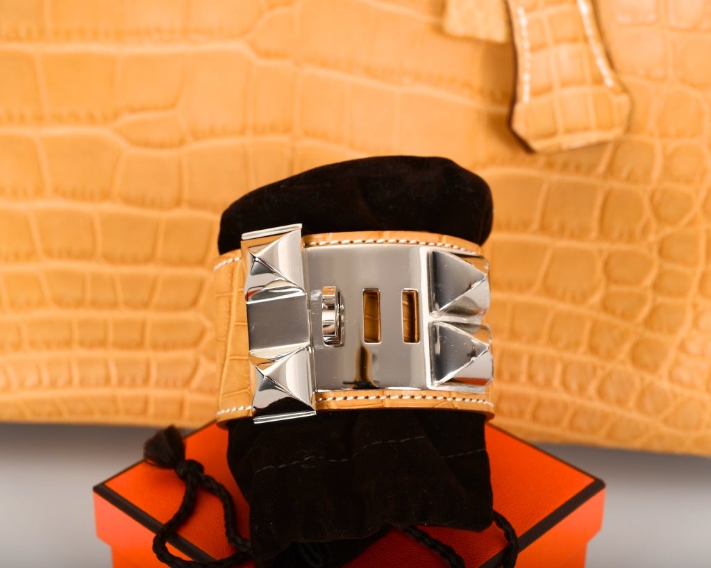 ONLY JF HERMES CROCODILE CDC MATTE MAIS PALLADIUM HARDWARE 1