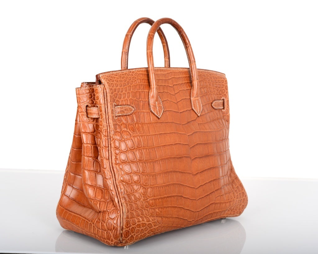 Hermès and Jane Birkin resolve spat over crocodile handbags, Hermès