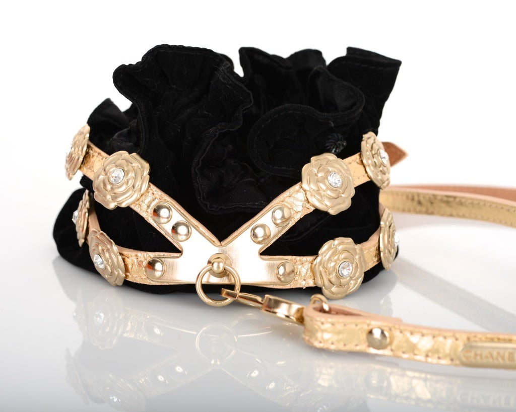 Perfect $1650 Chanel Belt Camellia Dog Harness & Leash Adorn Your Little Dog!


CHANEL STUNNING CAMELLIA DOG HARNESS & LEASH MEASUREMENTS 25