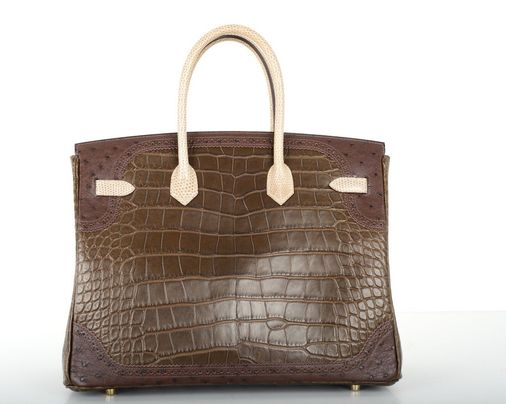 Hermes Limited Edition Incredible 3 Skin 