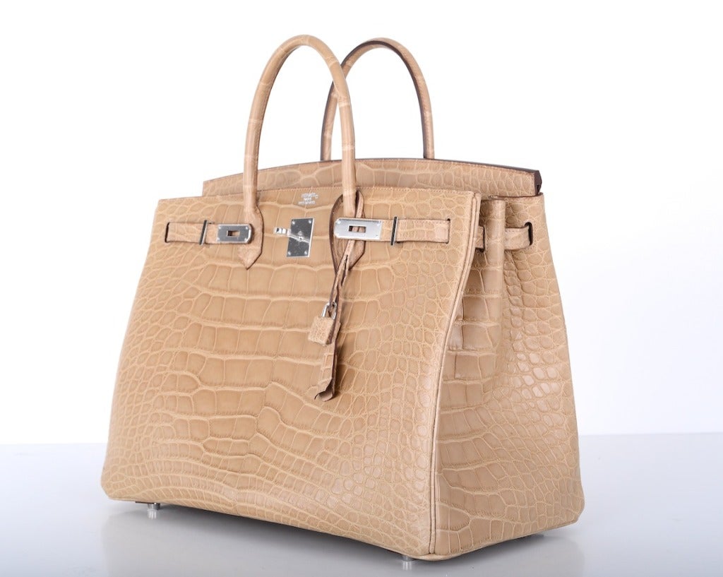 Women's Hermes Birkin Bag 40CM POUSSIERE MATTE ALLIGATOR OMG! JaneFinds For Sale