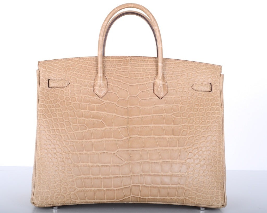 Hermes Birkin Bag 40CM POUSSIERE MATTE ALLIGATOR OMG! JaneFinds For Sale 1