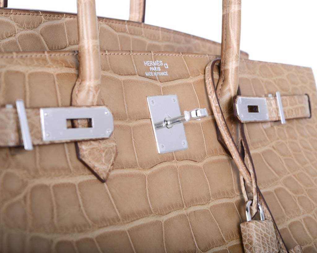 Hermes Birkin Bag 40CM POUSSIERE MATTE ALLIGATOR OMG! JaneFinds For Sale 2