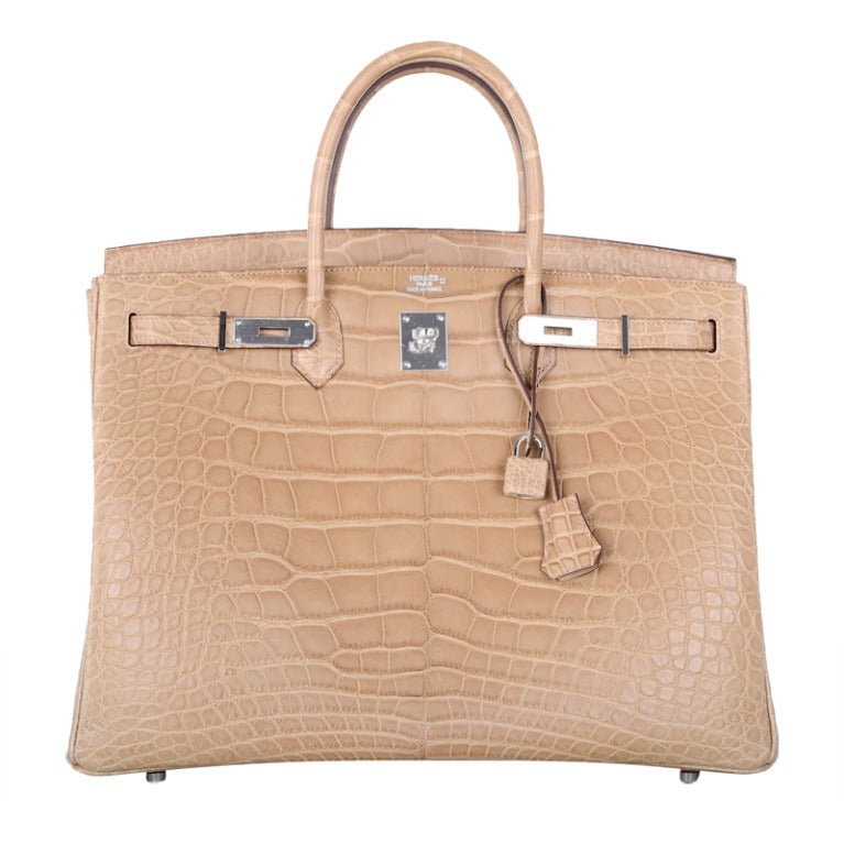 Hermes Birkin Bag 40CM POUSSIERE MATTE ALLIGATOR OMG! JaneFinds For Sale