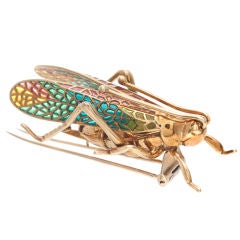 Plique-A-Jour Enamel & Yellow Gold Grasshopper Brooch