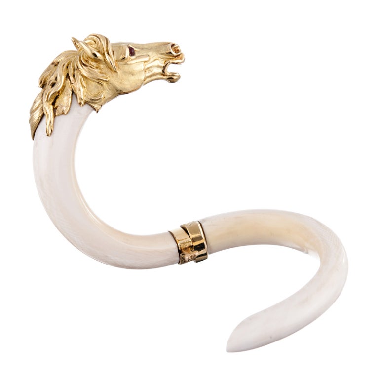 smooth ivory stallion