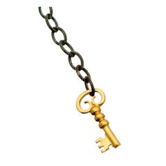 Vintage "Y Necklace" Oxidized Silver Chain with Golden Skeleton Key