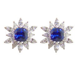 Ceylon Sapphire 
Diamond Earrings in Platinum