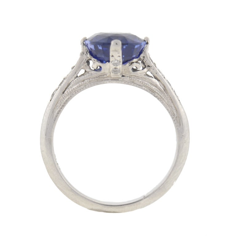 Women's Contemporary Ceylon Sapphire Diamond Ring