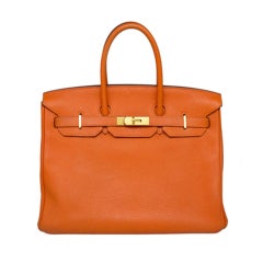 Hermes 35 cm Birkin Bag