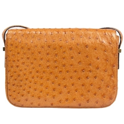 celine ostrich bag