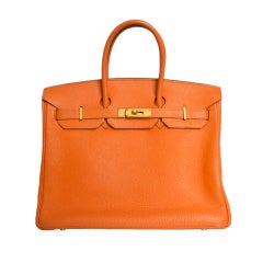 Hemes 35cm Birkin Bag Orange