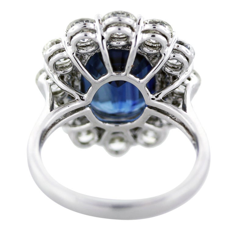 Round Cut 8.56 Carat Ceylon Sapphire and Diamond Cocktail Ring Platinum in Stock For Sale