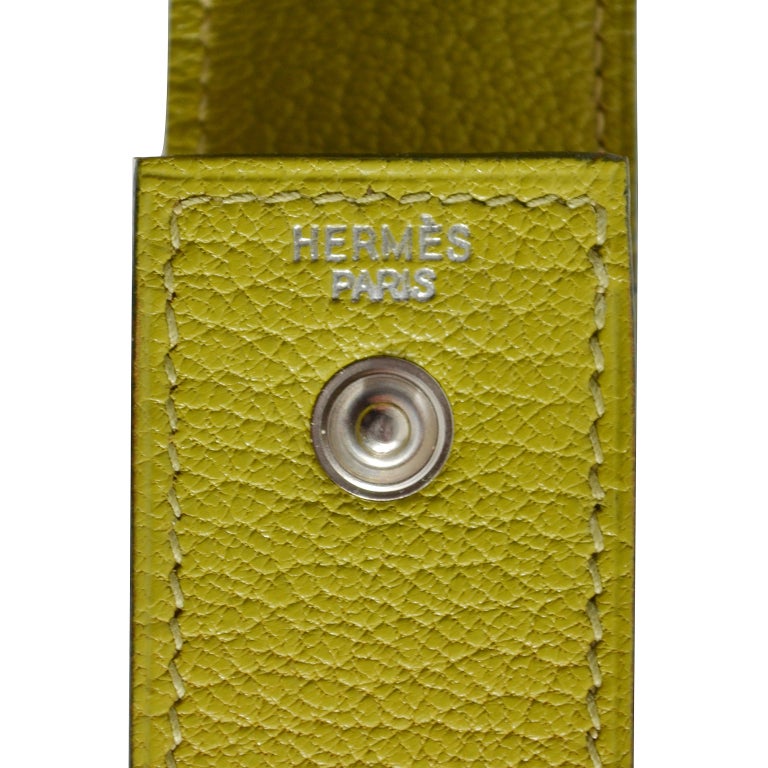 Hermes Vert Anis Chevre Leather Gum Case In New Condition In Chicago, IL