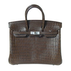 25cm Hermès Matte Elephant Gray Niloticus Crocodile Birkin Bag