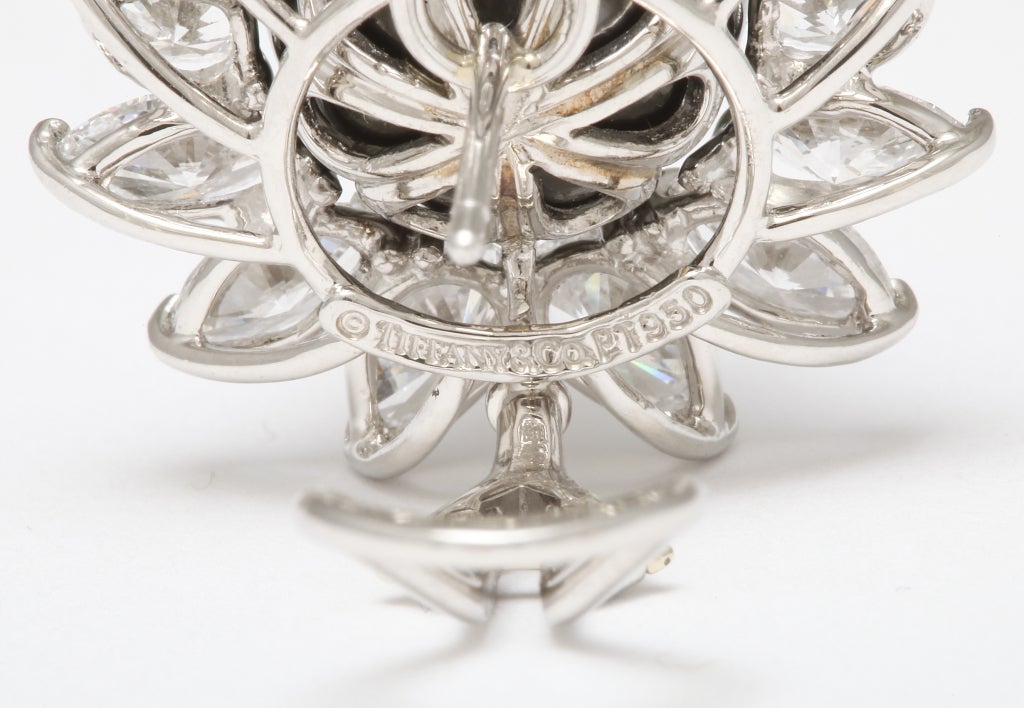 Women's Tiffany & Co., South Sea Cultured Pearl & Diamond Earclips For Sale
