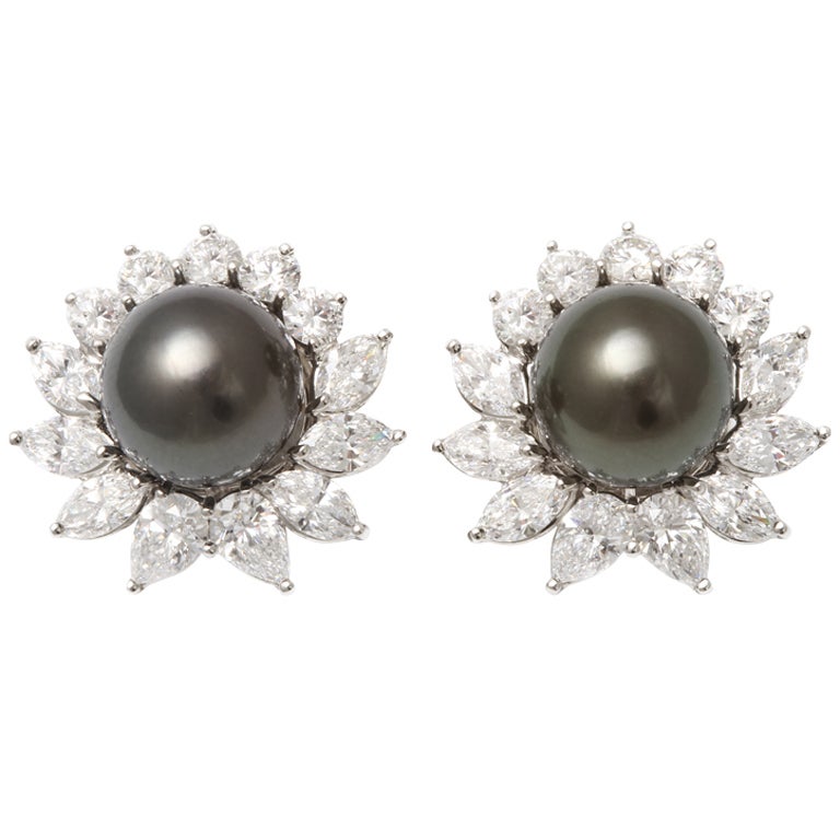 Tiffany & Co., South Sea Cultured Pearl & Diamond Earclips For Sale