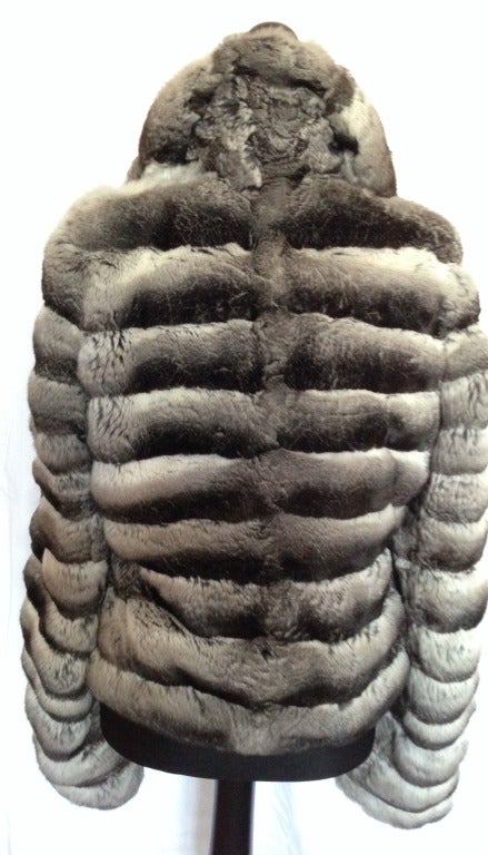 Exceptional Chinchilla Black Velvet fur For Sale at 1stdibs