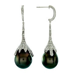 Tahitian Pearl Earrings Set in White Gold with Diamonds