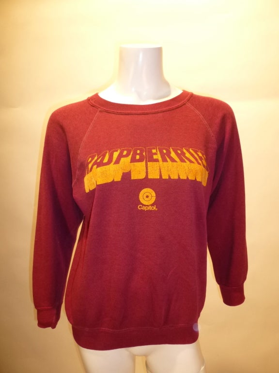 Vintage sweatshirt from Cleveland OH band Raspberries from their 4th LP, 1974s Starting Over. No tag on this purple sweatshirt.