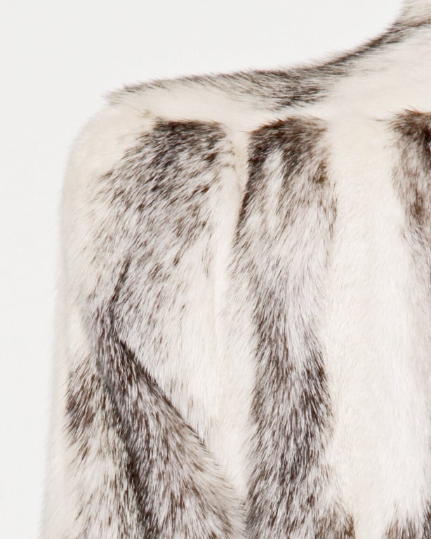 black and white mink animal