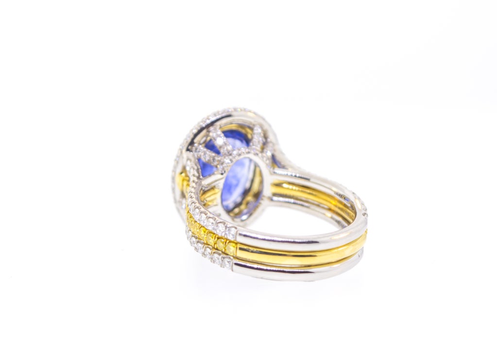 Women's 3 Carat Sapphire & Diamond Ring