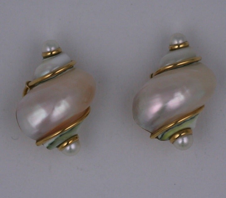 Seaman Schepps Iconic Turbo shell earrings with clip back fittings. The shells are capped in pearls and decorated with the 18k gold wire. Excellent condition. 
1 3/8