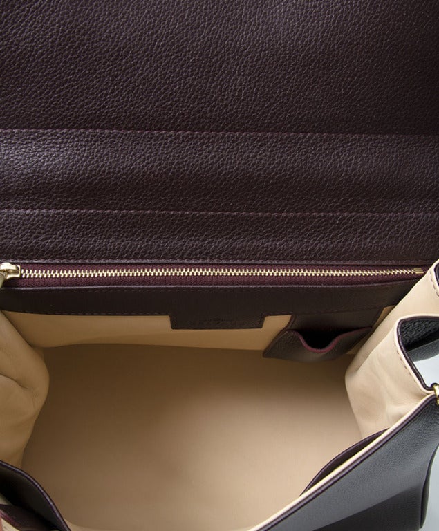 Delvaux Brillant MM Burgundy 5