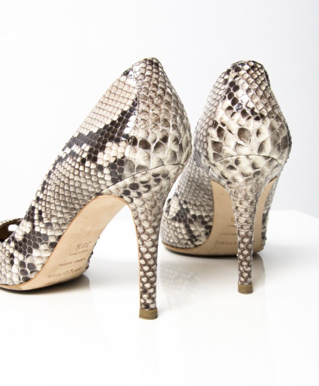 Brown Sergio Rossi Real Snake Pumps