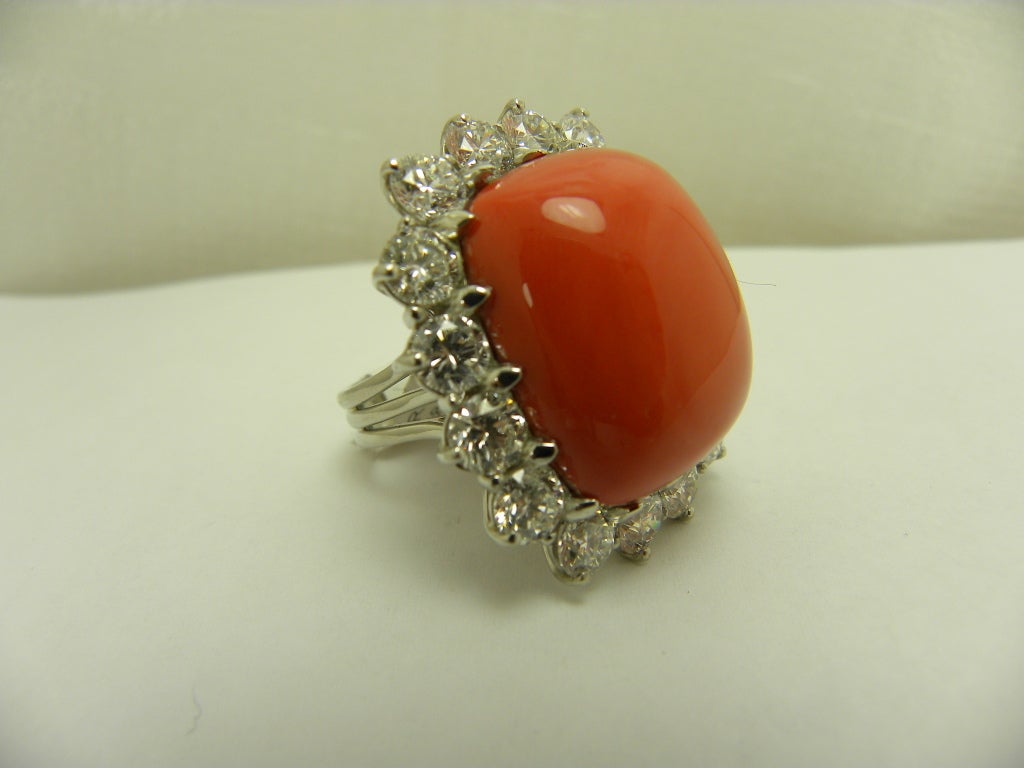 Platinum very important coral ring. very saturated in color set with 16 brilliant d
round diamonds, total weight8.54c