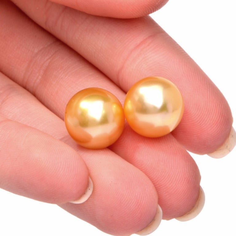 Women's South-Sea Pearl Gold Stud Earrings
