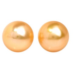 South-Sea Pearl Gold Stud Earrings