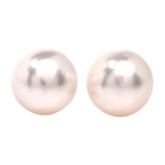 Pearl Gold Stud Earrings