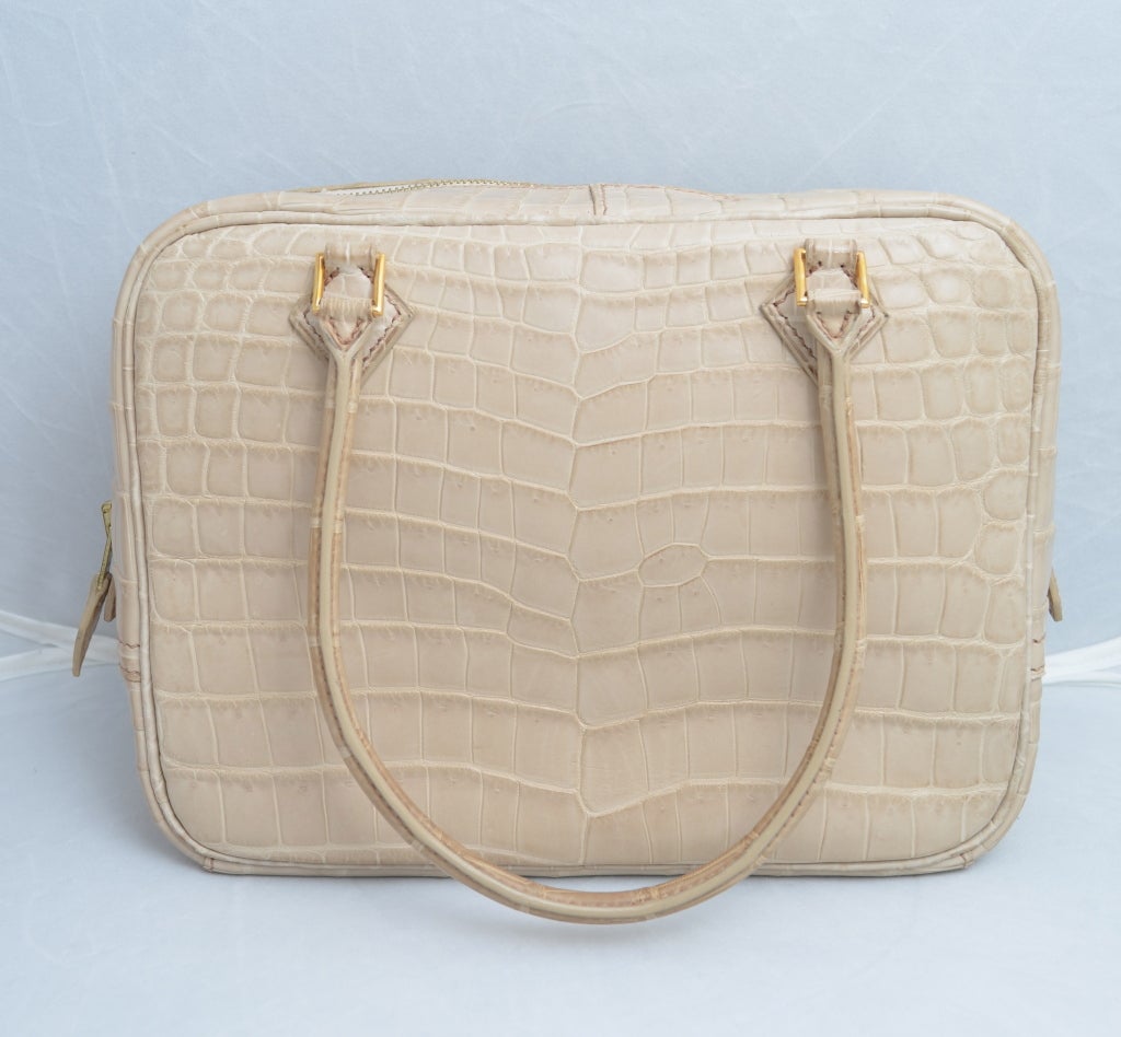Hermes Paris Crocodile 20 cm Beige Rose Plume Handbag For Sale at ...  