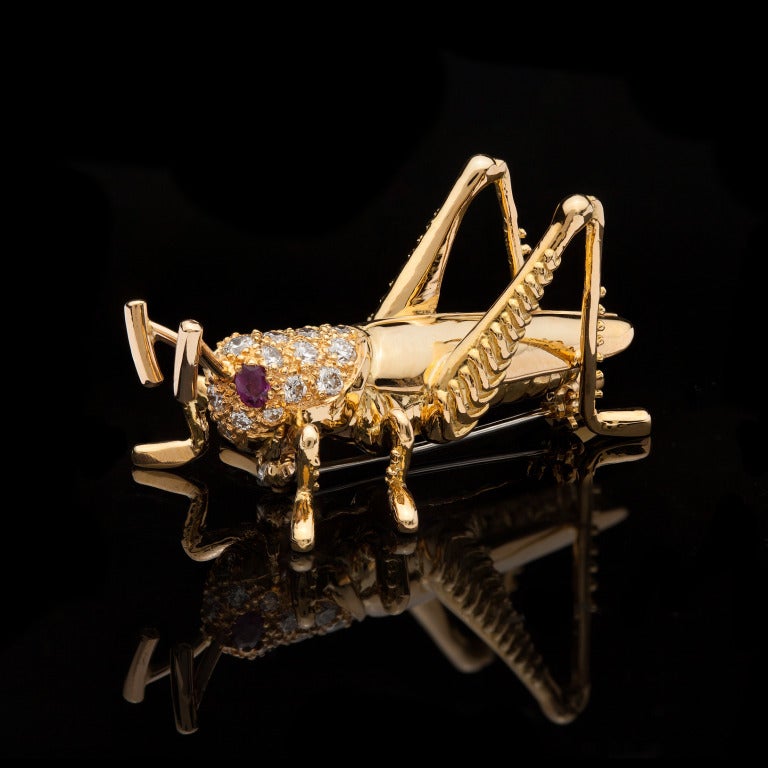 Dankner 18Kt Yellow Gold Diamond Grasshopper Brooch features 20 Round Cut Diamonds for approximately 0.60cts and 2 Oval Cut Rubies for eyes that weigh 0.10cts.  The brooch measures 24mm x 40mm and weighs 15.5 grams.