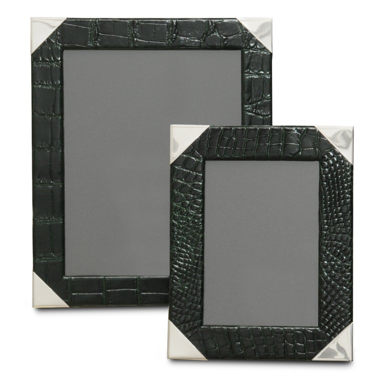 Alligator & Silver Photograph Frames