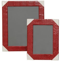 Alligator & Silver Photograph Frames