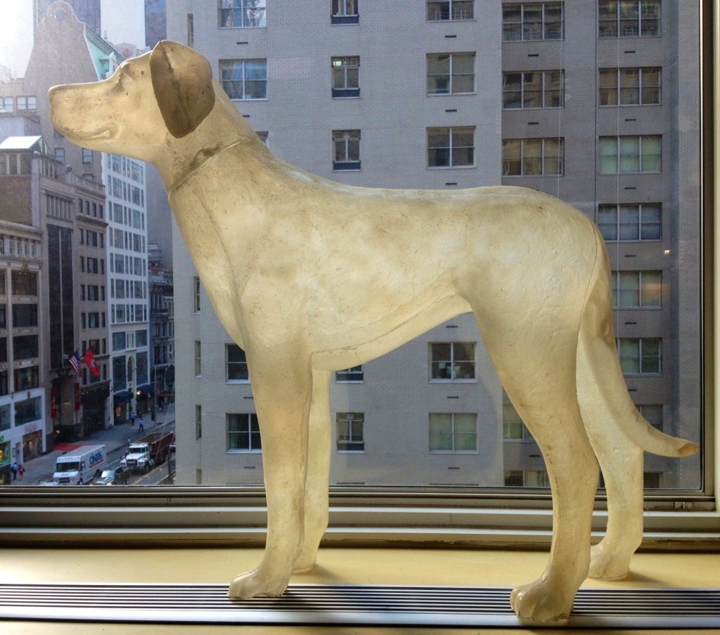 Dog mannequin from the Costume Institute at the Metropolitan Museum of Art's 2006 exhibit Anglomania.  The dog appeared in 'The Hunt' gallery and can be seen in the accompanying catalog Anglomania: Tradition and Transgression in British Fashion by