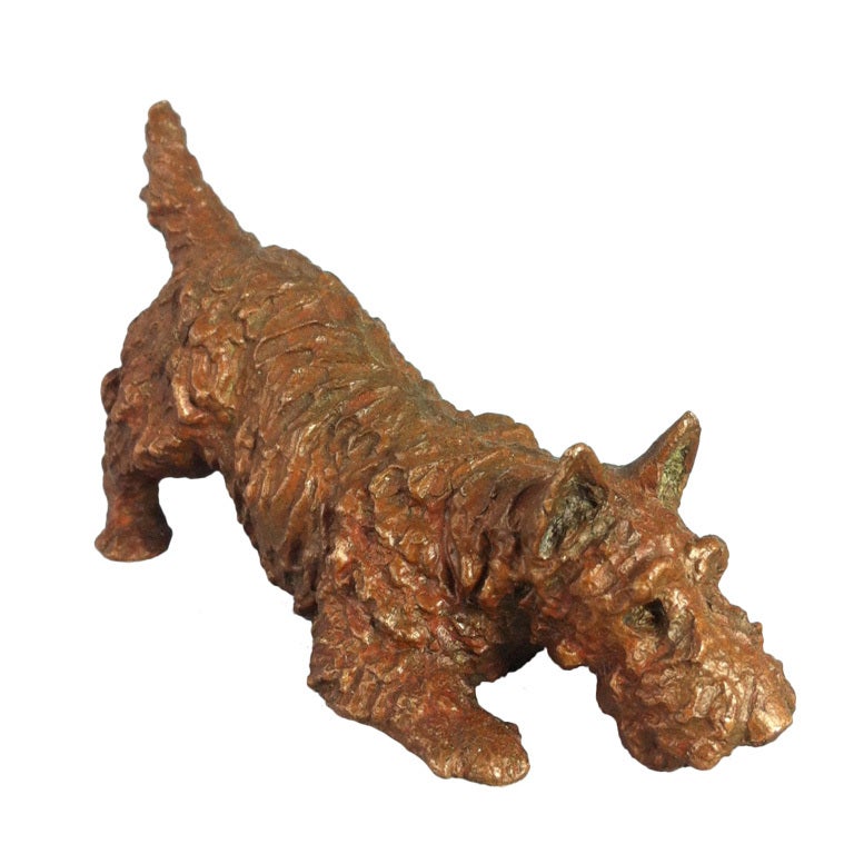 Bronze Scottish Terrier For Sale