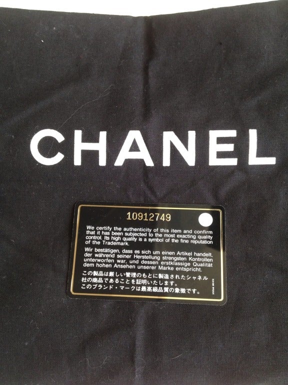 Chanel Large Brown Python Bag 4