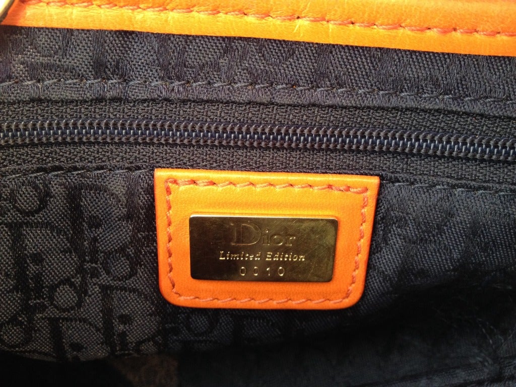 Christian Dior Multicolor Limited Edition Saddle Bag 2