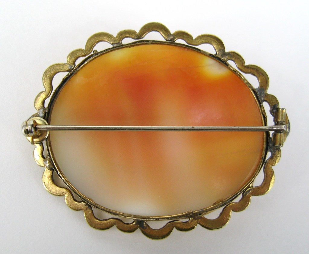 Hand Made Antique Bird Cameo Brooch For Sale at 1stdibs