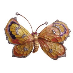An Attractive Butterfly Brooch