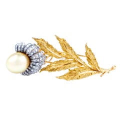 Buccellati Brooch