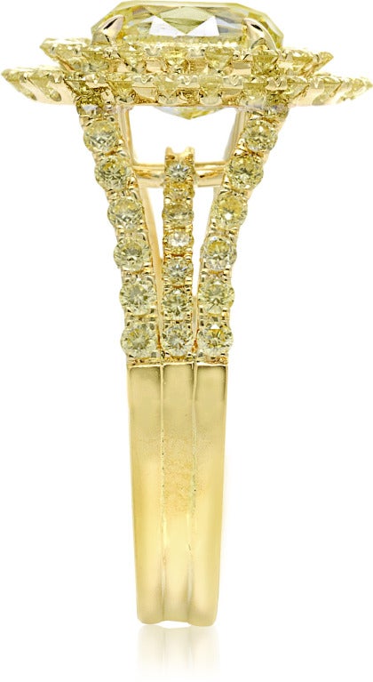 Gelber Diamant-Pavé-Ring im Zustand „Neu“ in Palm Beach, FL