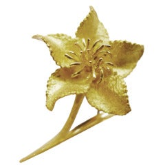 Yellow Gold Hermes Edelweiss Brooch